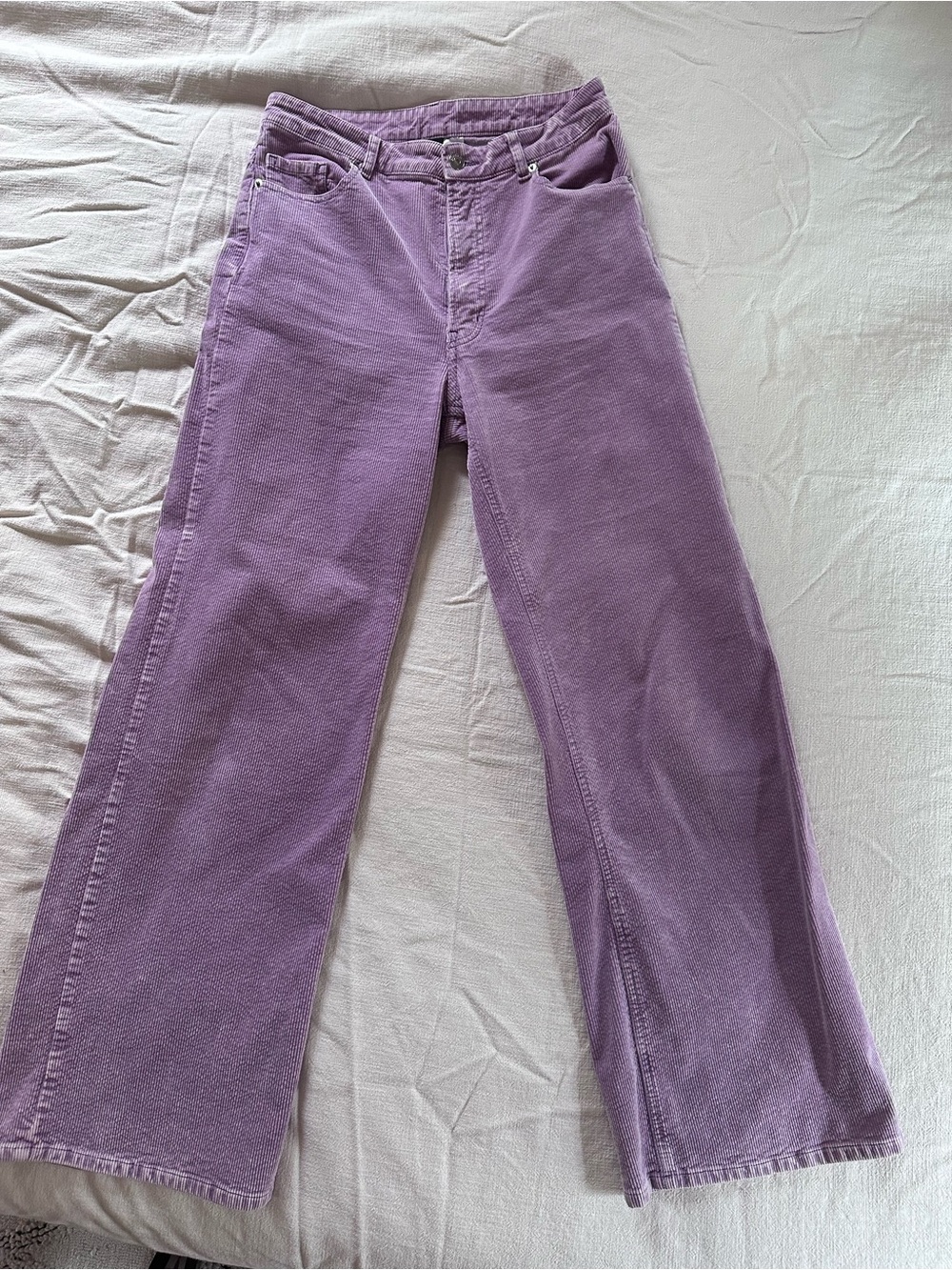 H&M Lavender Wide Leg Pants